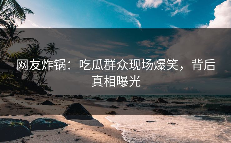 网友炸锅：吃瓜群众现场爆笑，背后真相曝光