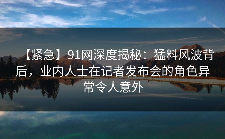 【紧急】91网深度揭秘：猛料风波背后，业内人士在记者发布会的角色异常令人意外
