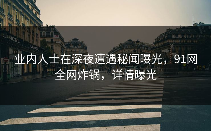 业内人士在深夜遭遇秘闻曝光，91网全网炸锅，详情曝光