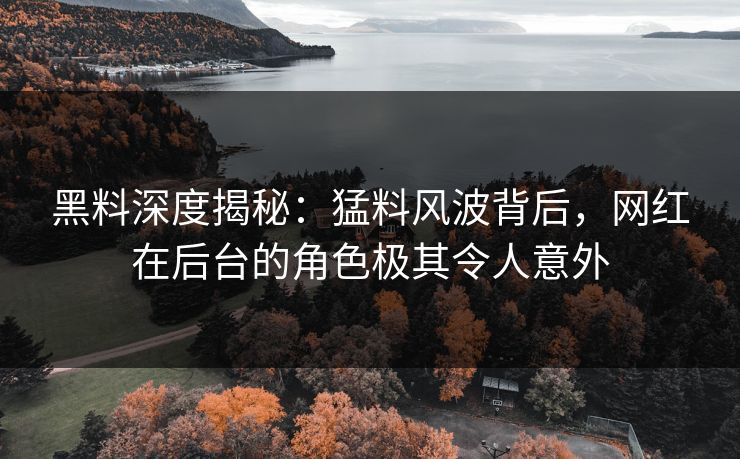 黑料深度揭秘：猛料风波背后，网红在后台的角色极其令人意外