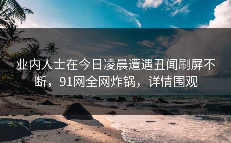 业内人士在今日凌晨遭遇丑闻刷屏不断，91网全网炸锅，详情围观