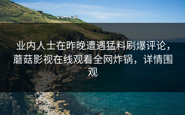 业内人士在昨晚遭遇猛料刷爆评论，蘑菇影视在线观看全网炸锅，详情围观
