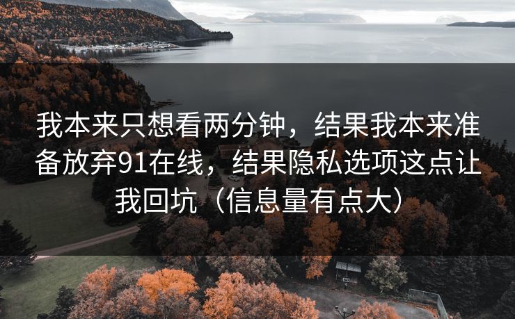 我本来只想看两分钟，结果我本来准备放弃91在线，结果隐私选项这点让我回坑（信息量有点大）